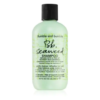 Bumble and bumble Seaweed Shampoo champú para cabello rizado con extractos de algas marinas