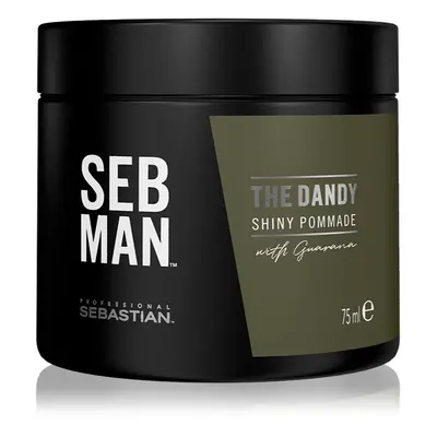 Sebastian Professional SEB MAN The Dandy pomada para el cabello de fijación natural