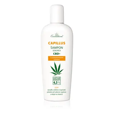 Cannaderm Seborea CBD+ champú anticaspa