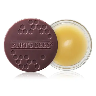 Burt’s Bees Lip Treatment tratamiento intensivo de noche para labios