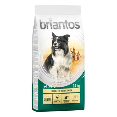 Briantos 12 kg / 14 kg pienso para perros ¡a precio especial! - Senior con ave y arroz (14 kg)