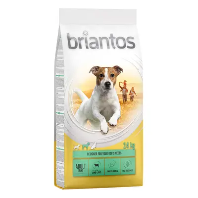 Briantos 12 kg / 14 kg pienso para perros ¡a precio especial! - Adult Mini Cordero y arroz (14 k