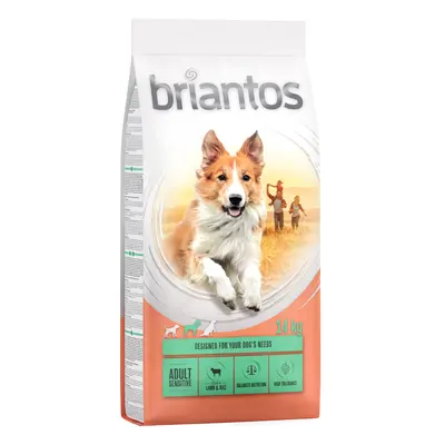 Briantos 12 kg / 14 kg pienso para perros ¡a precio especial! - Adult Sensitive Cordero y arroz 