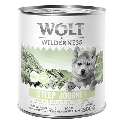 Wolf of Wilderness 24 x 800 g comida húmeda ¡con 10 € de descuento! - Expedition Junior - Steep 