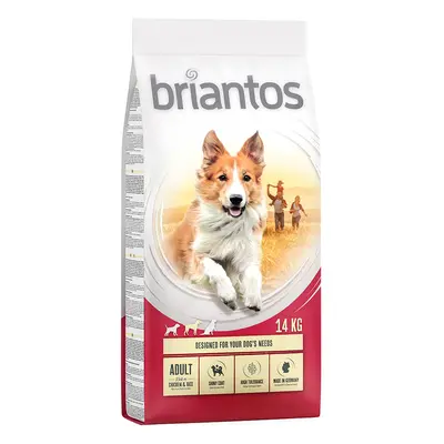 Briantos 12 kg / 14 kg pienso para perros ¡a precio especial! - Adult Pollo y arroz (14 kg)