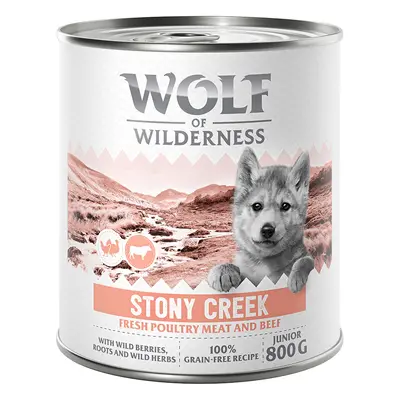 Wolf of Wilderness 24 x 800 g comida húmeda ¡con 10 € de descuento! - Expedition Junior - Stony 