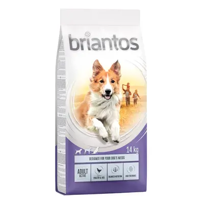 Briantos 12 kg / 14 kg pienso para perros ¡a precio especial! - Adult Active Pollo y arroz (14 k