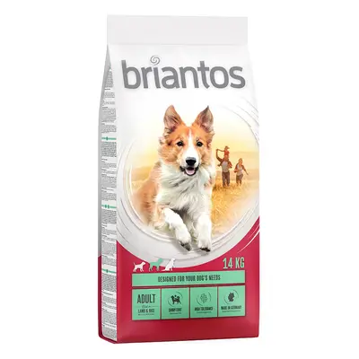 Briantos 12 kg / 14 kg pienso para perros ¡a precio especial! - Adult Cordero y arroz (14 kg)