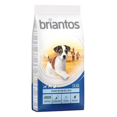 Briantos 12 kg / 14 kg pienso para perros ¡a precio especial! - Junior Young & Fit (14 kg)