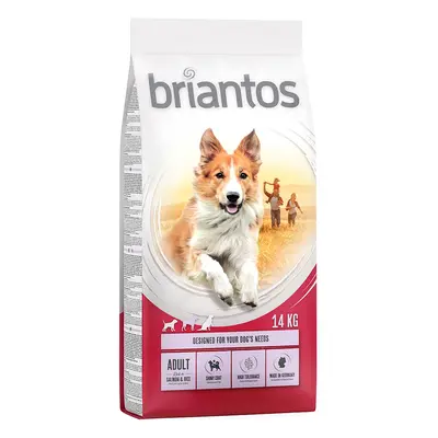 Briantos 12 kg / 14 kg pienso para perros ¡a precio especial! - Adult Salmón y arroz (14 kg)