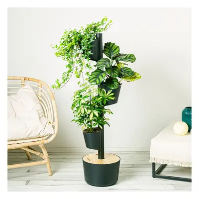 Midnight Garden S | Comprar Plantas Online | Entrega Gratuita I one_size