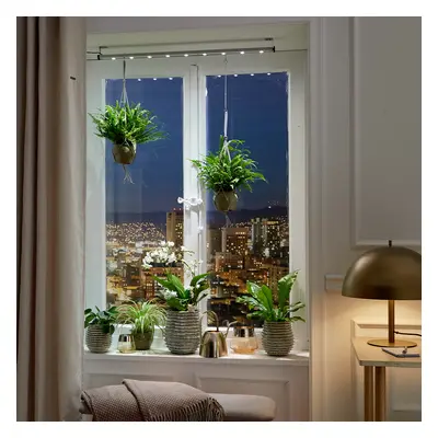 FloraLight LED | Comprar Plantas Online | Entrega Gratuita I one_size