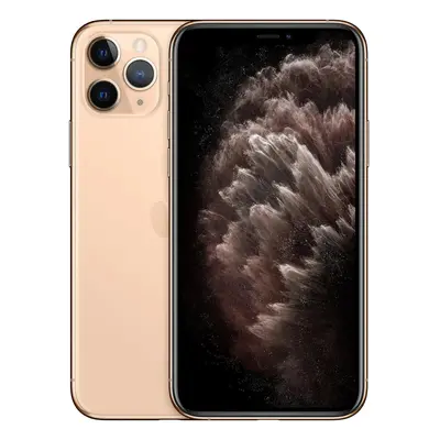 IPhone 11 Pro Max Oro 256 GB Satisfactorio