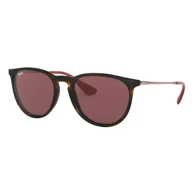 Gafas de sol RAY-BAN RB 4171 639175 Erika Color Mix