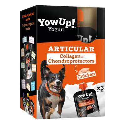 YowUp! Articular Pollo yogur para perros