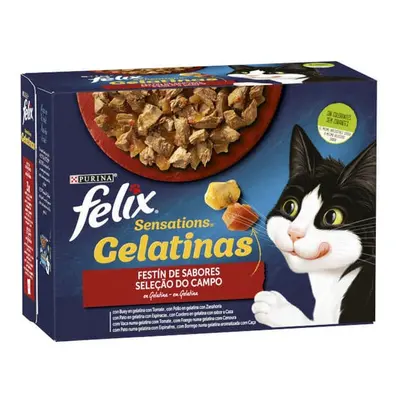 48 sobres x 85 g Felix Sensations Festín de Sabores sobres en gelatina para gatos ¡Pack ahorro!