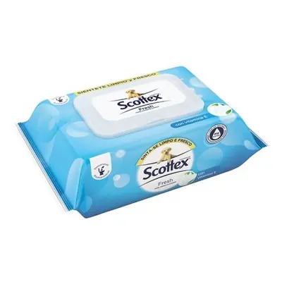 Scottex Fresh 1 und Toallitas Humedas