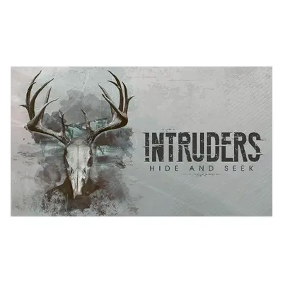 Intruders: Hide and Seek