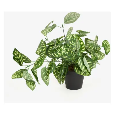 Planta artificial en maceta Calathea 45cm