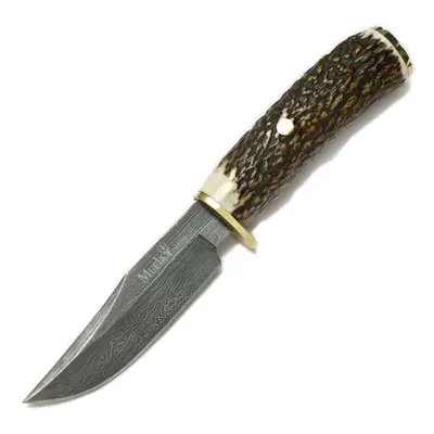 Cuchillo de lujo Muela Braco BRACO-11DAM, empuñadura de hasta de ciervo y latón, hoja damasco de