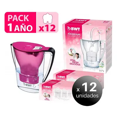 BWT - Pack de 12 unidades BWT - BWT Jarra Filtradora de Agua Aqualizer Manual 2.7L violeta 12 fi