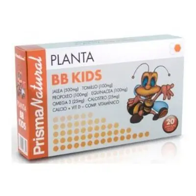 planta bb kids 20amp.