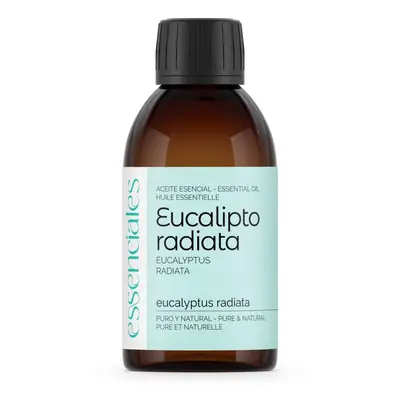 Aceite Esencial De Eucalipto Radiata 200 Ml
