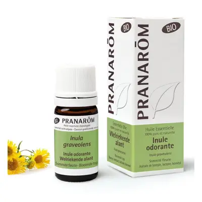 Pranarôm Aceites Esenciales Floración tops Bandera Dulce 5ml