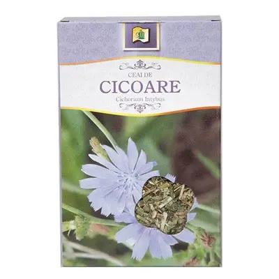 Té de achicoria, 50 g, Stef Mar