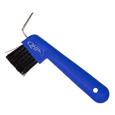 Abrillantador de herraduras QHP Color (x10)