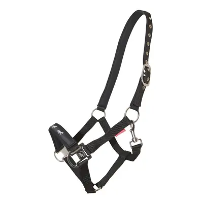 Cabezada para caballo con aires Karlslund