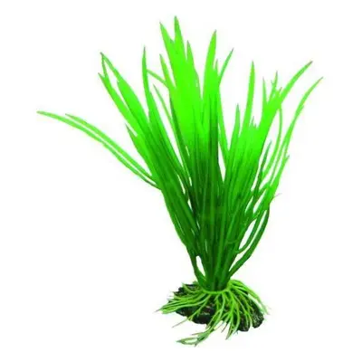 Accesorios para acuarios Hobby Cyperus